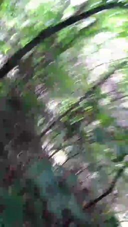 FitStudBlack 09-08-2020  Recorded Video Free