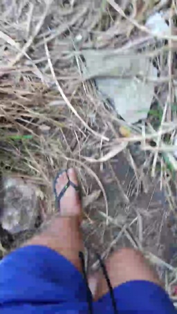 Synbaherrera 10-08-2020  Recorded Video Topless
