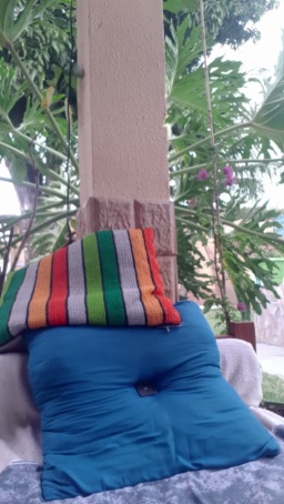 recoblue22cm 16-08-2020  Recorded Video Free