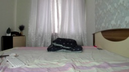 Shy_T33nager  17-08-2020 Recorded Download