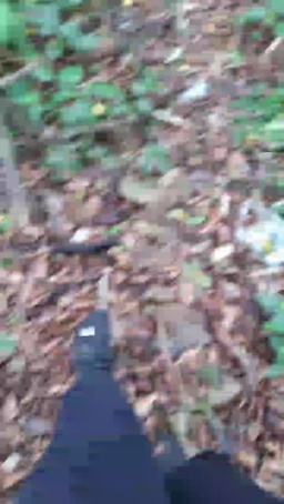 Synbaherrera 21-08-2020  Recorded Video Cam