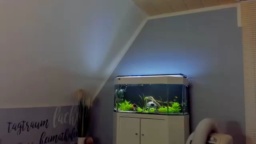 ronhill13 28-08-2020  Recorded Video Naked