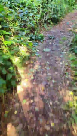 Geil32hb 29-08-2020  Recorded Video Download