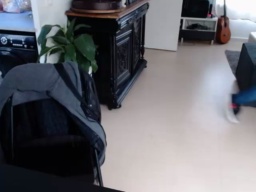 tomsauwer 29-08-2020  Recorded Video Show