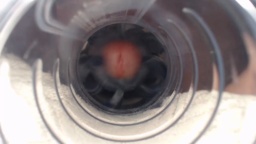 Jeffrodgerschaturbat 31-08-2020  Recorded Show