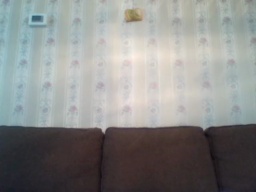 Hotihunter98 01-09-2020  Recorded Download