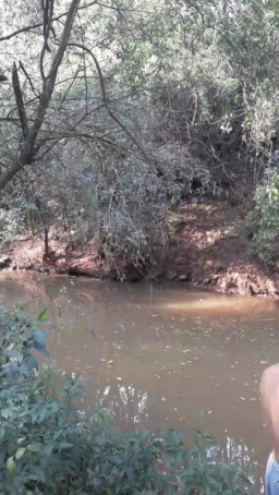 Lobooo19cm 01-09-2020  Recorded Video Download