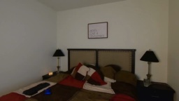 Benny_Bee 02-09-2020  Recorded Cam