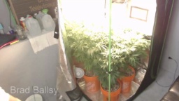 Brad_Bounce 03-09-2020  Recorded Free