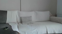 principle88 03-09-2020  Recorded Video Topless
