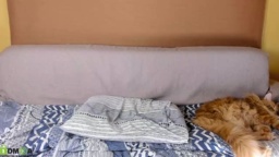 Jerry_Loves_Matt 04-09-2020  Recorded Porn