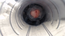 Jeffrodgerschaturbat 04-09-2020  Recorded Free