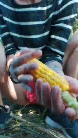 BlueEye_Girl 08-09-2020 Video  Recorded Video