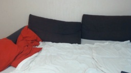 Arlekincroppp 11-09-2020  Recorded Download