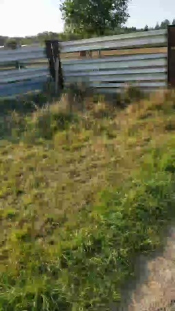 BlueEye_Girl  12-09-2020 Recorded Porn