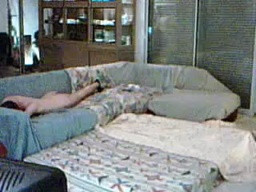 FrenchieBottom 13-09-2020  Recorded Video Cam