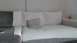 principle88 14-09-2020  Recorded Webcam