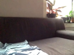 Beastnyc12 14-09-2020  Recorded Video