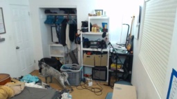 Bryancavallo 17-09-2020  Recorded Download