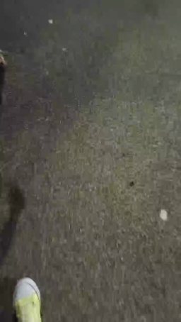 crazypilar  17-09-2020 Recorded Video