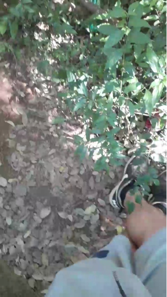 Lobooo19cm 24-09-2020  Recorded Video Cam
