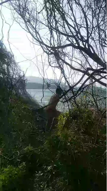 loirolindu1  26-09-2020 Recorded Video Topless