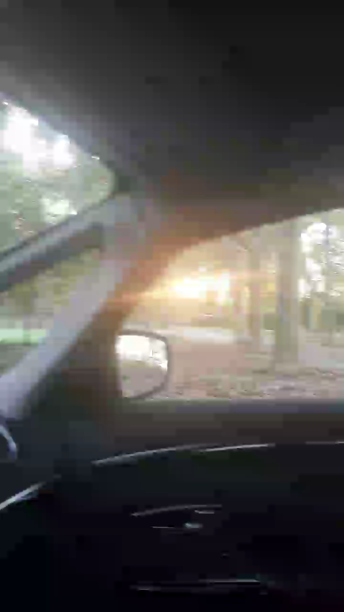 ilmio21  28-09-2020 Recorded Video Cam