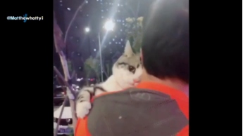 Topganhotty  28-09-2020 recorded video Topless