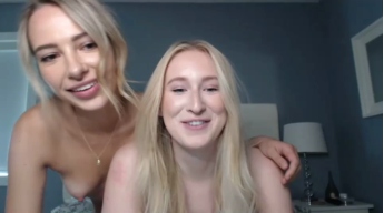 Viennaandskye
