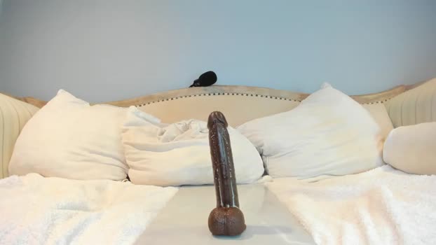 eatmygingersnapps Chaturbate Female 23-05-2025