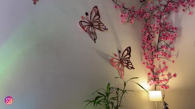 sweet_littleee Chaturbate Female 23-05-2025